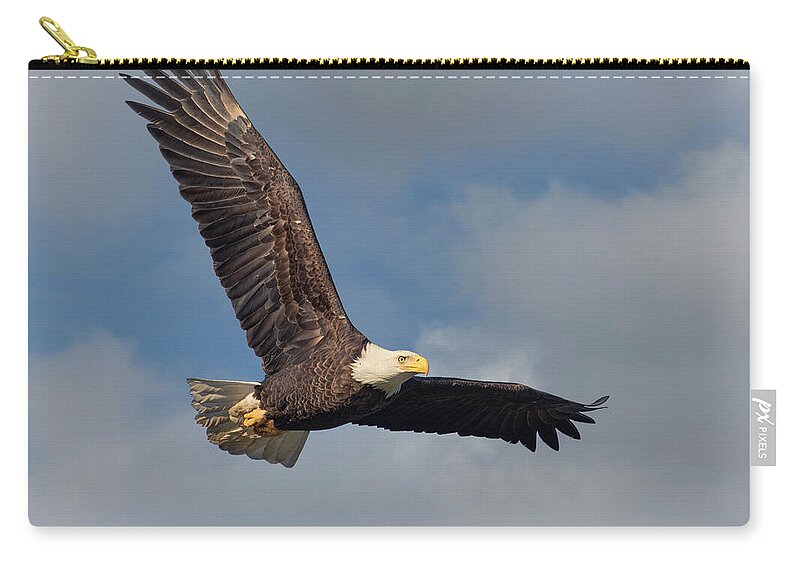 Eagle Zip Pouch featuring the photograph Winter Soaring by Art Cole