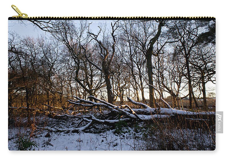 Winter Carry-all Pouch featuring the photograph Winter the Beautiful by Elena Perelman