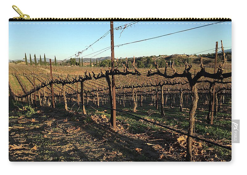 Winter Zip Pouch featuring the photograph Winter Vines Hart Winery Temecula by Roxy Rich