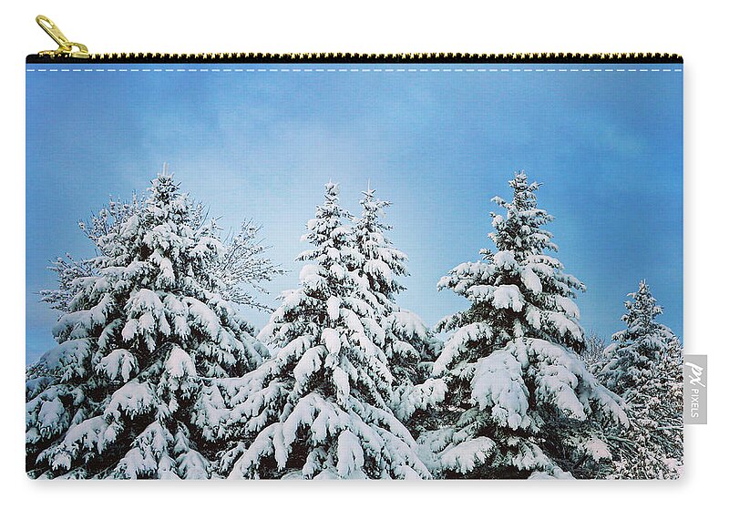Winter Carry-all Pouch featuring the photograph Winter Wonderland by Sarah Lilja