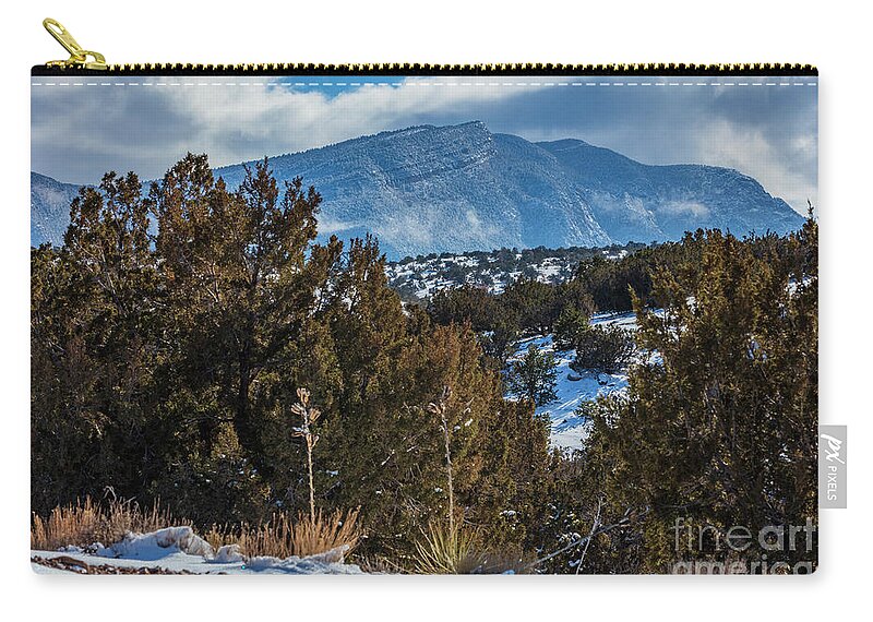 Landscape Zip Pouch featuring the photograph Winter Yucca by Seth Betterly