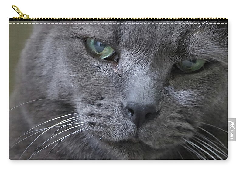 Cat Carry-all Pouch featuring the photograph Wise Old Cat by M Kathleen Warren