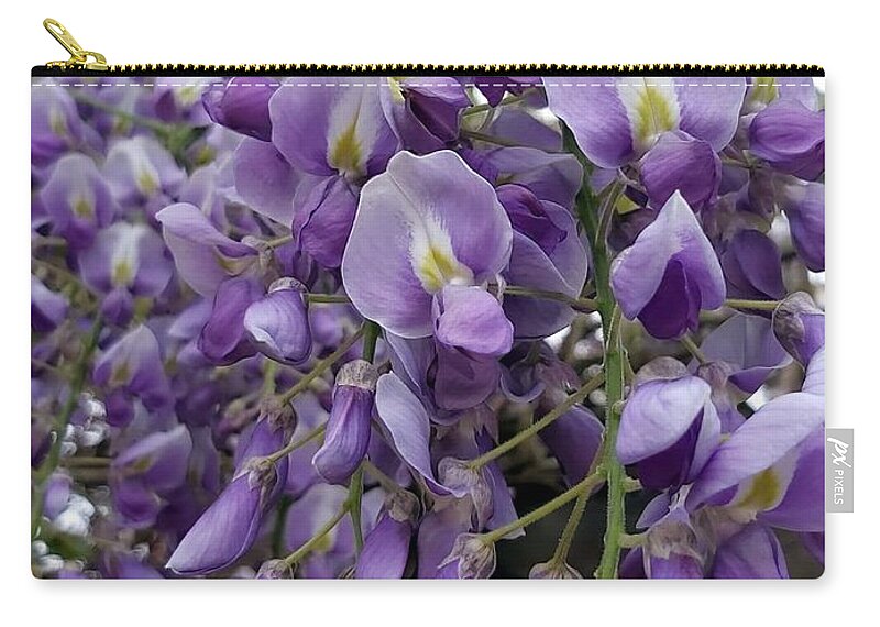 Flower Zip Pouch featuring the photograph Wisteria by Gerry Bates