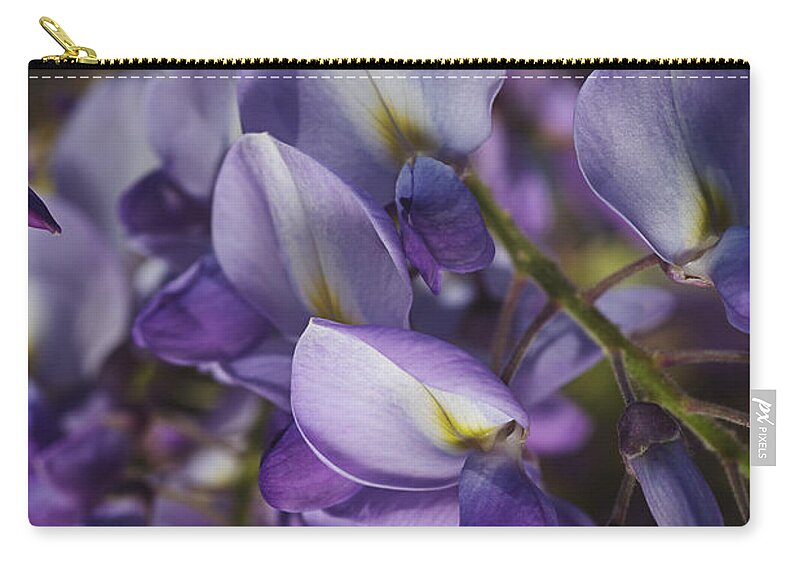 Acanthaceae Zip Pouch featuring the photograph Wisteria Grace by Joy Watson
