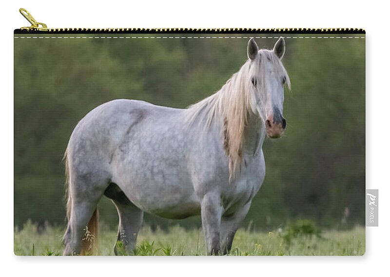 Wild Horse Carry-all Pouch featuring the photograph With the Spirit of the Wild by Holly Ross