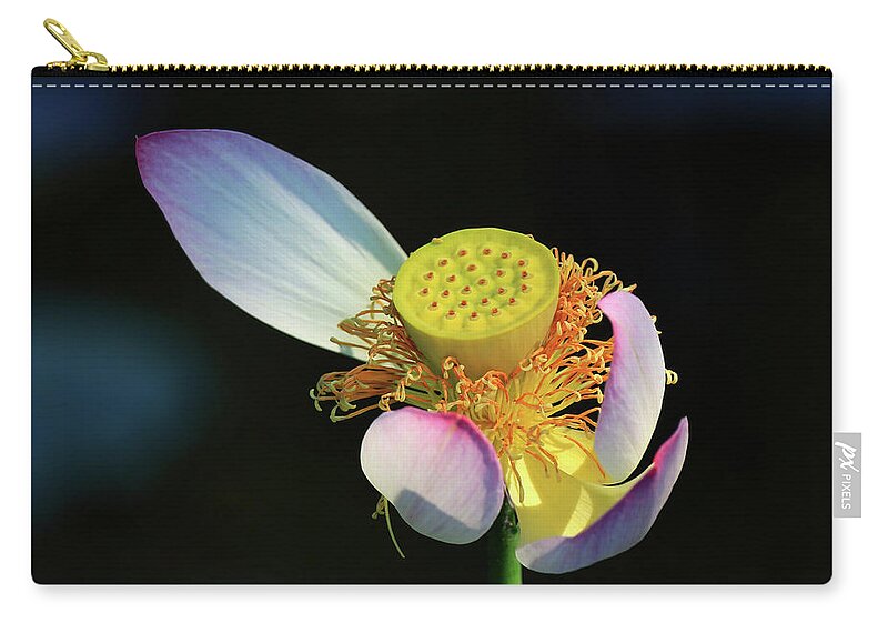 Lotus Zip Pouch featuring the photograph Withered Lotus Flower by Shixing Wen