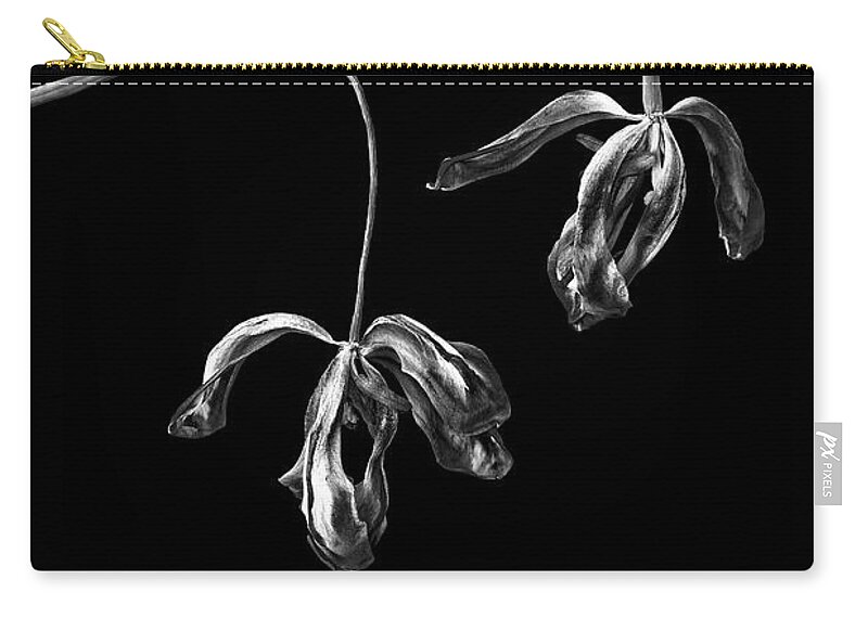 Withered Zip Pouch featuring the photograph Withered Tulips by Elvira Peretsman