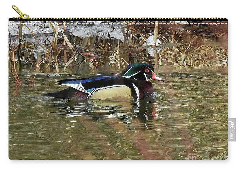 Wood Duck Zip Pouch featuring the photograph Wood Duck by Nicola Finch