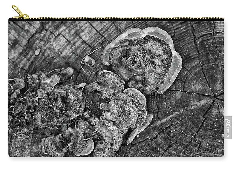 Wood Fungus Zip Pouch featuring the photograph Wood fungus and tree rings by Alan Goldberg