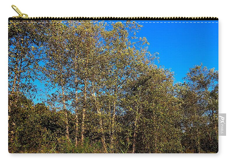 Trees Carry-all Pouch featuring the photograph Woodlands at Palmyra Nature Cove by Linda Stern