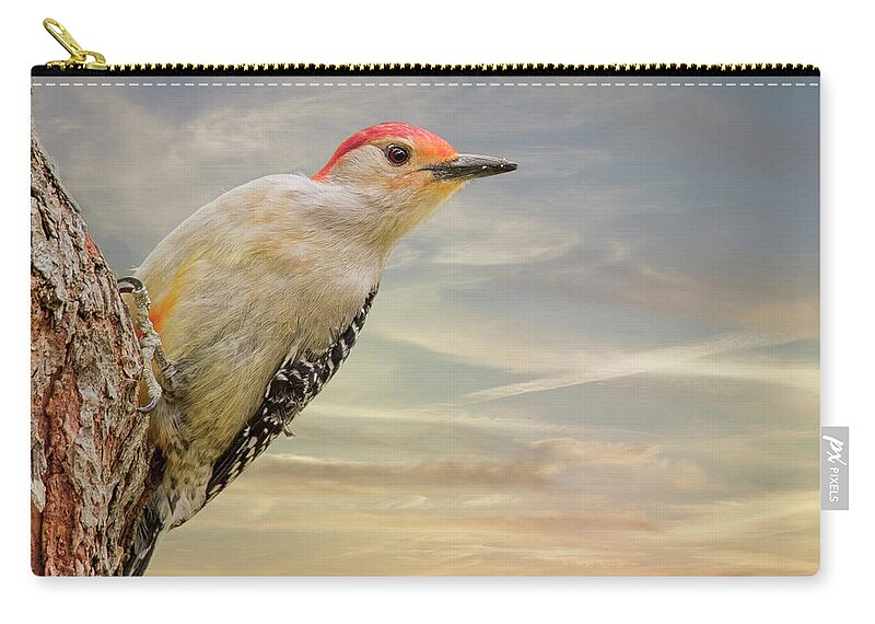 Red-bellied Woodpecker Zip Pouch featuring the photograph Woody In The Sky by Bill and Linda Tiepelman