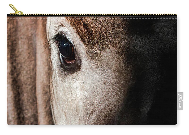 Okapi Zip Pouch featuring the photograph Wounded Okapi by American Landscapes