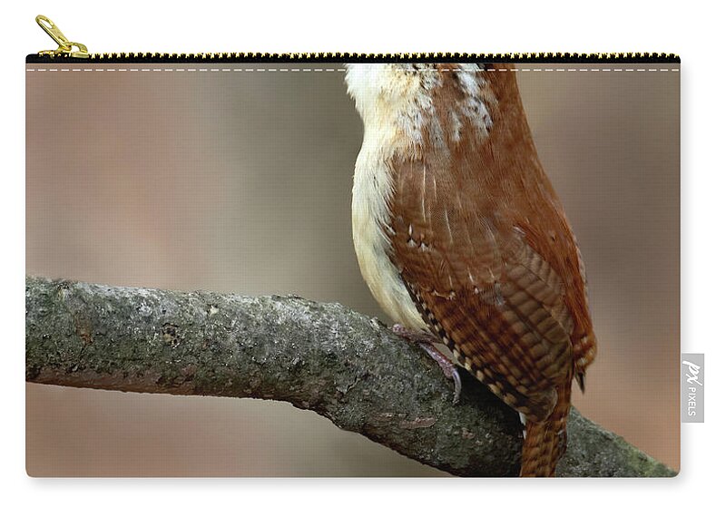 Bird Zip Pouch featuring the photograph Wren Songs by Art Cole