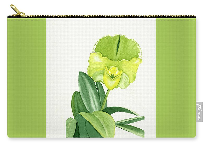 Paphiopedilum Zip Pouch featuring the painting Yellow And Green Orchid Watercolor Portrait by Deborah League