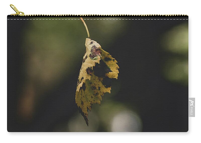 Abstract Zip Pouch featuring the photograph Yellow Autumnal Leaf Suspended in midair by Scott Lyons