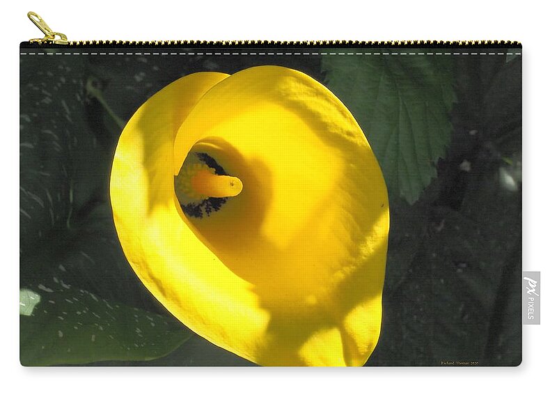 Yellow Zip Pouch featuring the photograph Yellow Beauty by Richard Thomas