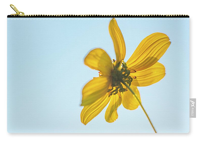 Daisy Carry-all Pouch featuring the photograph Yellow Daisy And Sky by Karen Rispin