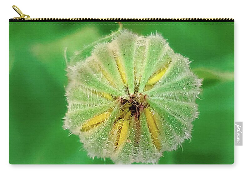 Art Zip Pouch featuring the photograph Yellow Daisy Bud Macro by Joan Han