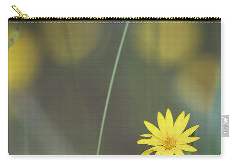 Daisy Carry-all Pouch featuring the photograph Yellow Daisy Close-up by Karen Rispin