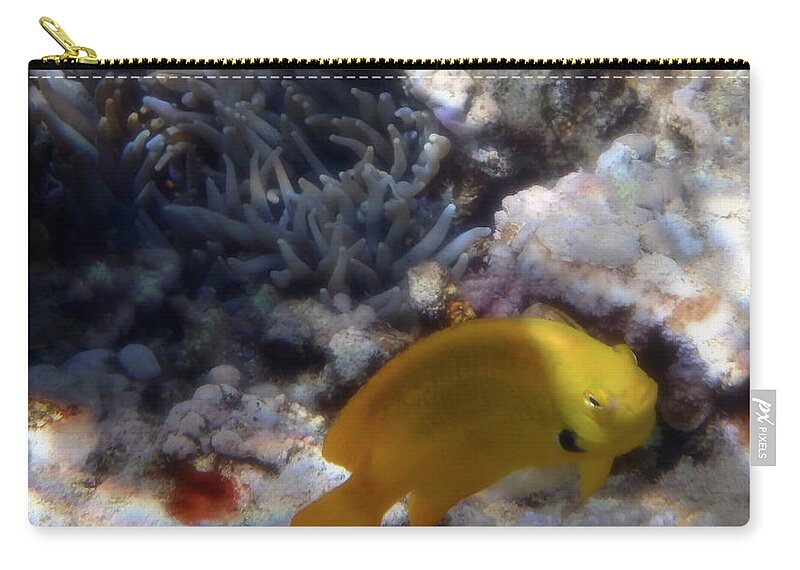 Clownfish Zip Pouch featuring the photograph Yellow Damsel And Red Sea Clownfish by Johanna Hurmerinta