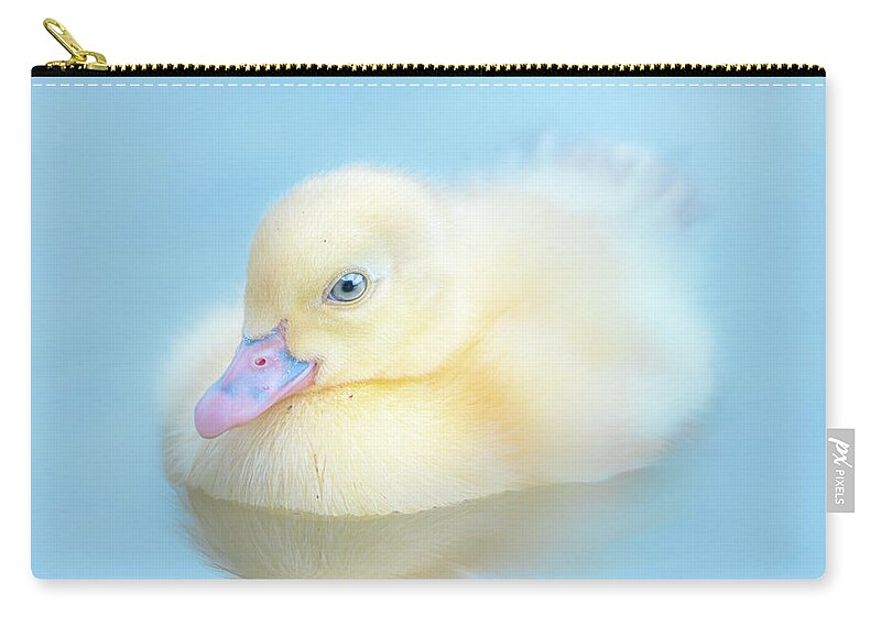 Yellow Duckling Carry-all Pouch featuring the photograph Yellow Duckling Reflections by Jordan Hill