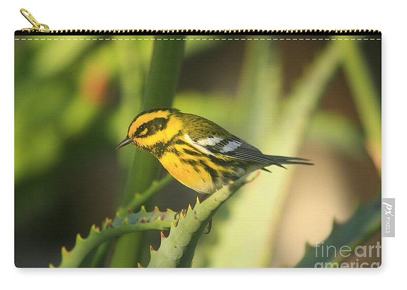 Birds Zip Pouch featuring the photograph Yellow Fellow by John F Tsumas