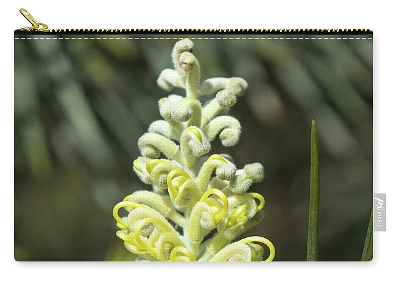 Native Zip Pouch featuring the photograph Yellow Grevillea 2 by Elaine Teague