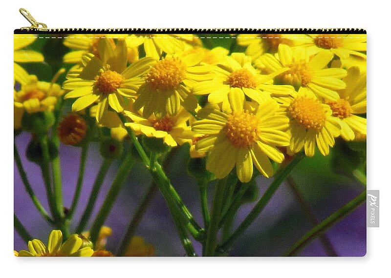 Wildflower Zip Pouch featuring the photograph Yellow Icing by Amy Hosp
