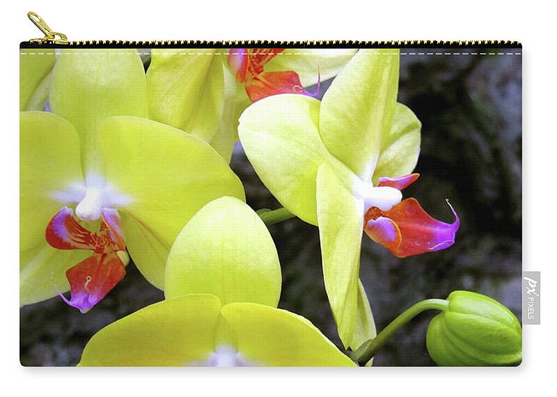 Orchid Zip Pouch featuring the photograph Yellow Orchids by Julia Wilcox
