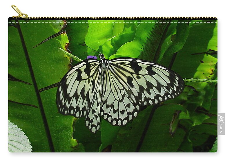 Butterflies Zip Pouch featuring the photograph Yellow Painted Lady Butterfly by Pour Your heART Out Artworks