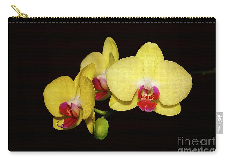 Orchids Zip Pouch featuring the photograph Yellow Phalaenopsis Orchids by James Brunker