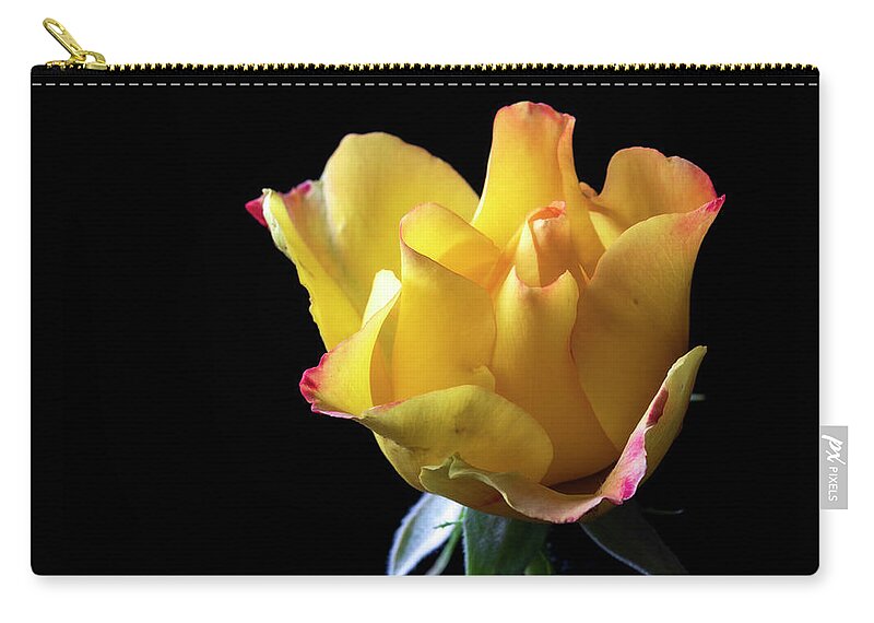 Rio Samba Rose Zip Pouch featuring the photograph Yellow Rose by Catherine Avilez