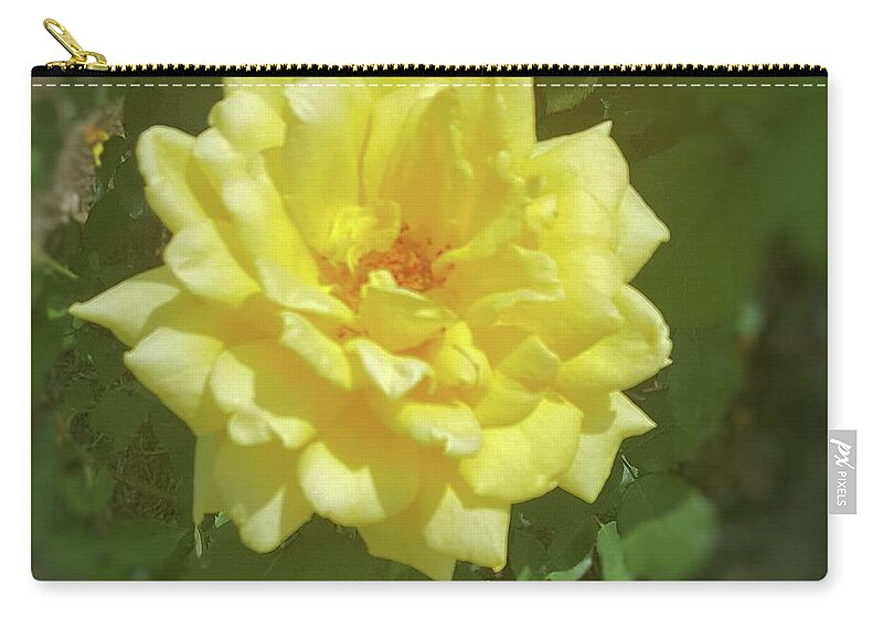 Flowers Zip Pouch featuring the photograph Yellow Rose by Pour Your heART Out Artworks