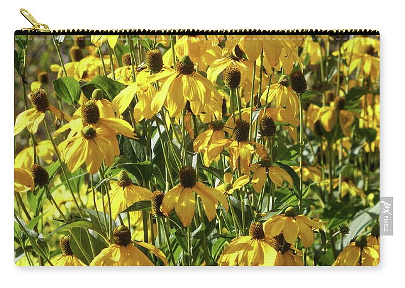 Yellow Zip Pouch featuring the photograph Yellow Rudbeckia by Jeff Townsend