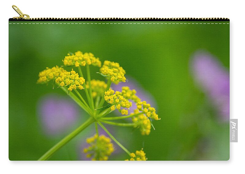 Plant Zip Pouch featuring the photograph Yellow Starburst by Linda Bonaccorsi