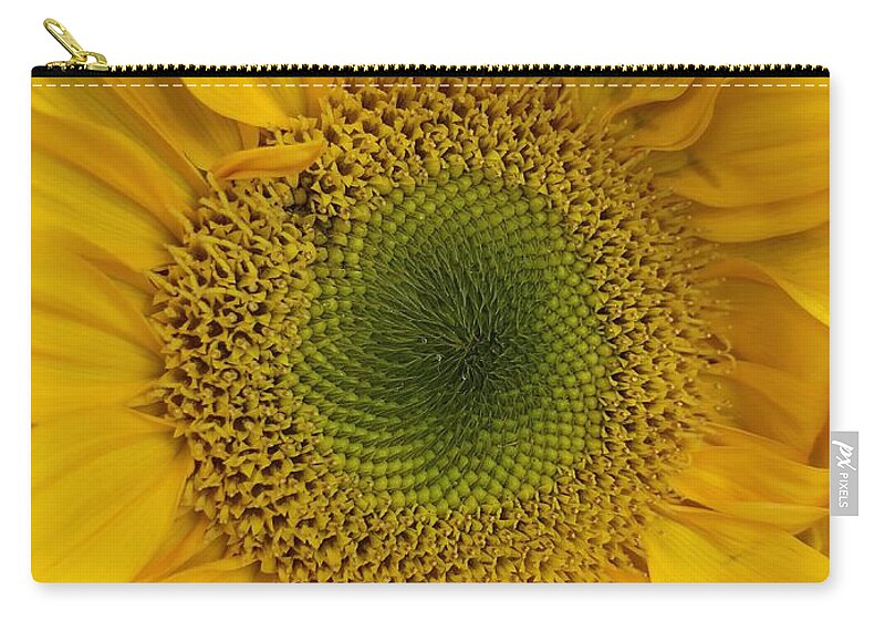 Sunflower Zip Pouch featuring the photograph Yellow Sunflower by Lisa Pearlman
