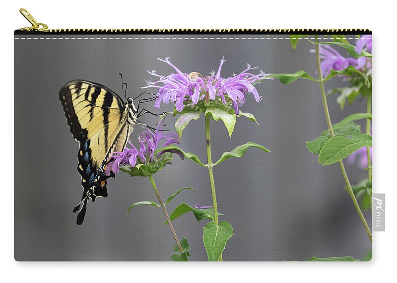 Eastern Tiger Swallowtail Zip Pouch featuring the photograph Yellow Swallowtail Butterfly 3-2020 by Thomas Young