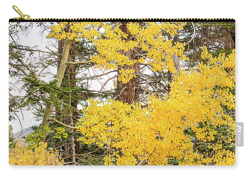 Autumn Zip Pouch featuring the photograph Yellow Trees by Randy Bradley