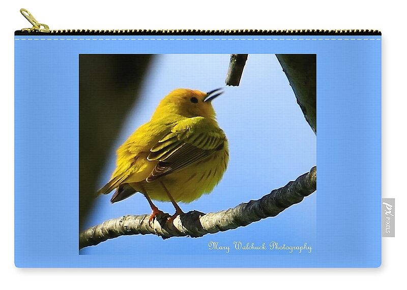 Yellow Warbler Carry-all Pouch featuring the photograph Yellow Warbler Singing in the Spotlight by Mary Walchuck