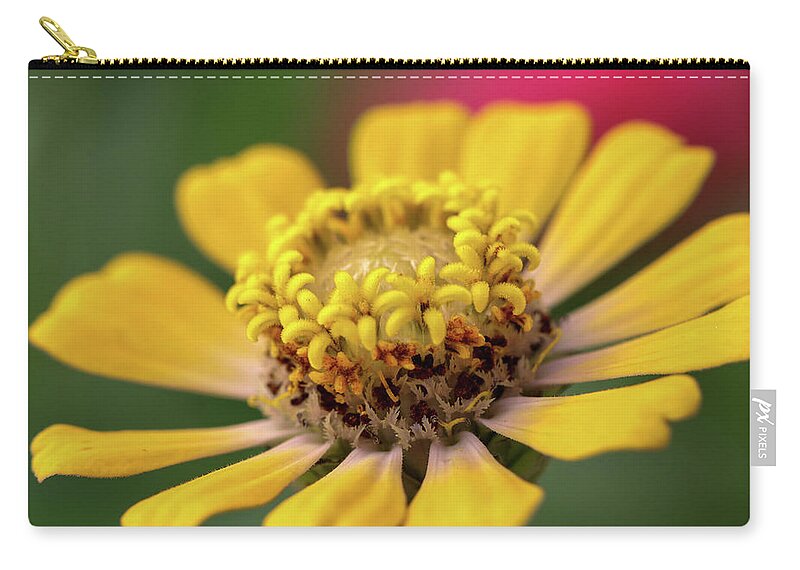 Zinnia Zip Pouch featuring the photograph Yellow Zinnia by Mary Anne Delgado
