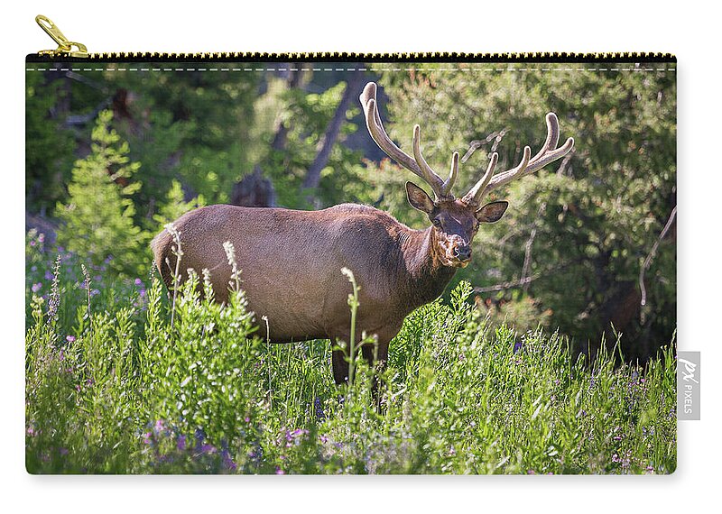 Tim Stanley Zip Pouch featuring the photograph Yellowstone Bull Elk by Tim Stanley