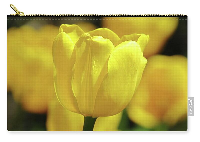 Nature Zip Pouch featuring the photograph Yo, Yellow by Lens Art Photography By Larry Trager