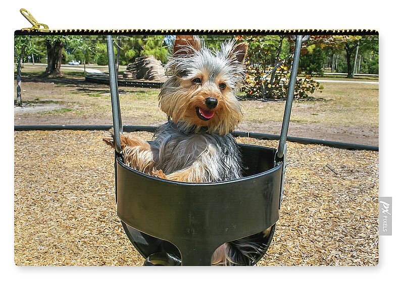 Animal Zip Pouch featuring the photograph Yorkie Puppy in Swing by Dawn Richards
