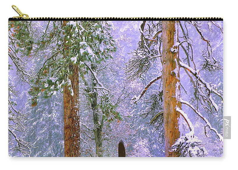 00599427 Zip Pouch featuring the photograph Yosemite Winter Raven by Tim Fitzharris