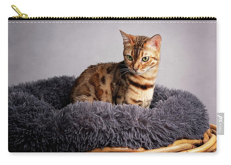 Bengal Cat Zip Pouch featuring the photograph Young Bengal Cat in her Cat Bed by Nailia Schwarz