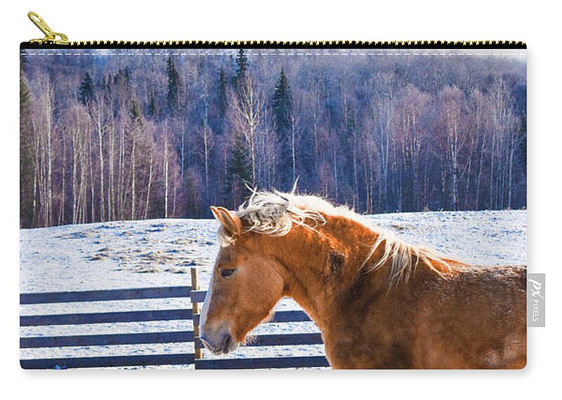 Winter Zip Pouch featuring the photograph Young Juno by Listen To Your Horse