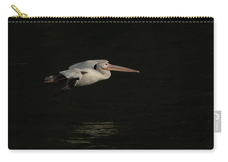 American White Pelican Carry-all Pouch featuring the photograph Young Pelican 2016-8 by Thomas Young