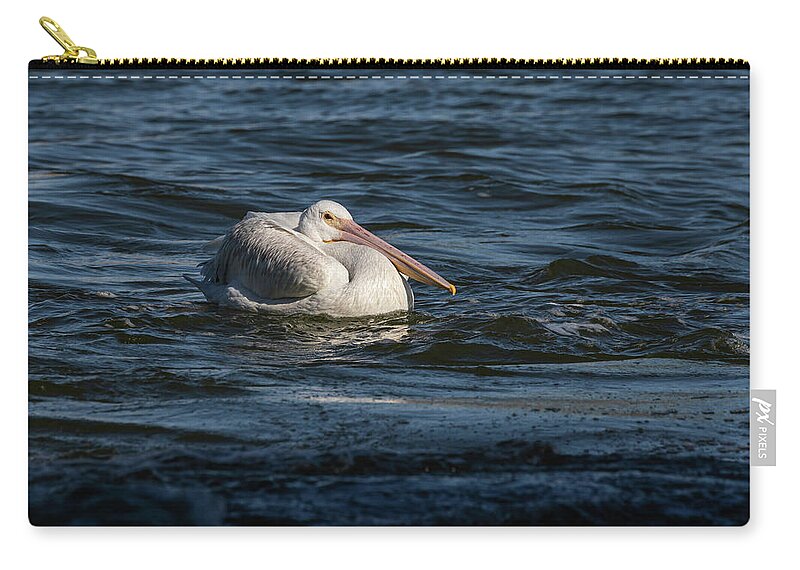 American White Pelican Zip Pouch featuring the photograph Young Pelican 2016-9 by Thomas Young