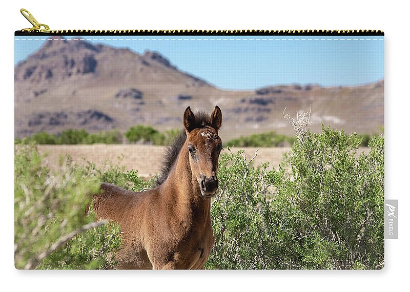 Wild Horses Zip Pouch featuring the photograph Young Bay Trust by Dirk Johnson
