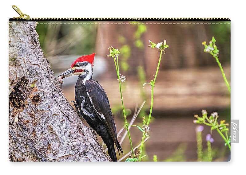 Birds Carry-all Pouch featuring the photograph Yummy by DB Hayes